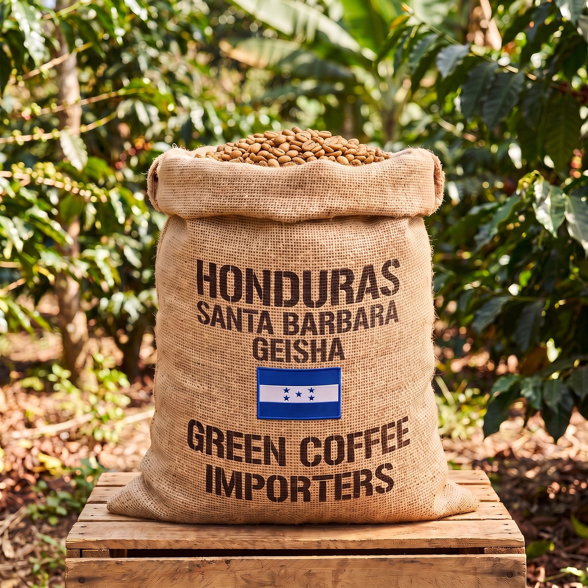 Honduras Santa Barbara Geisha — specialty green coffee